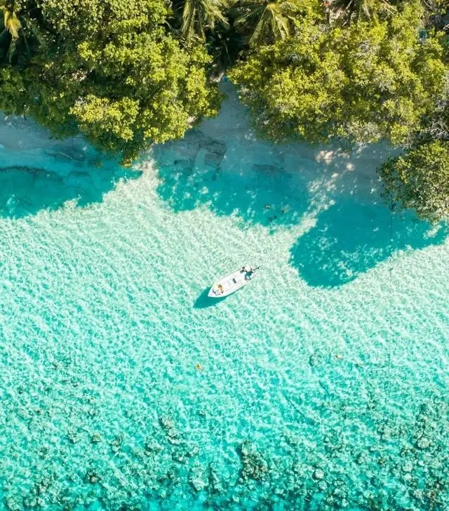 Vista aérea de una laguna turquesa junto a una isla de palmeras